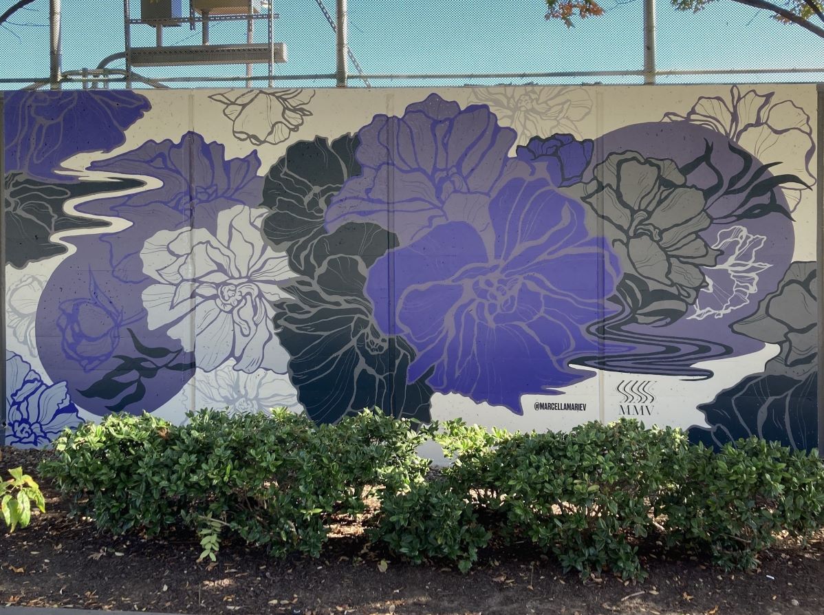 Marcella Verchio (2024)