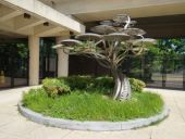 Naylor Road Pod Trees for Naylor - 2002