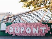 Dupont Circle Chris Pyrate