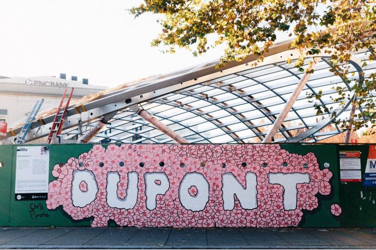 Dupont Circle Chris Pyrate