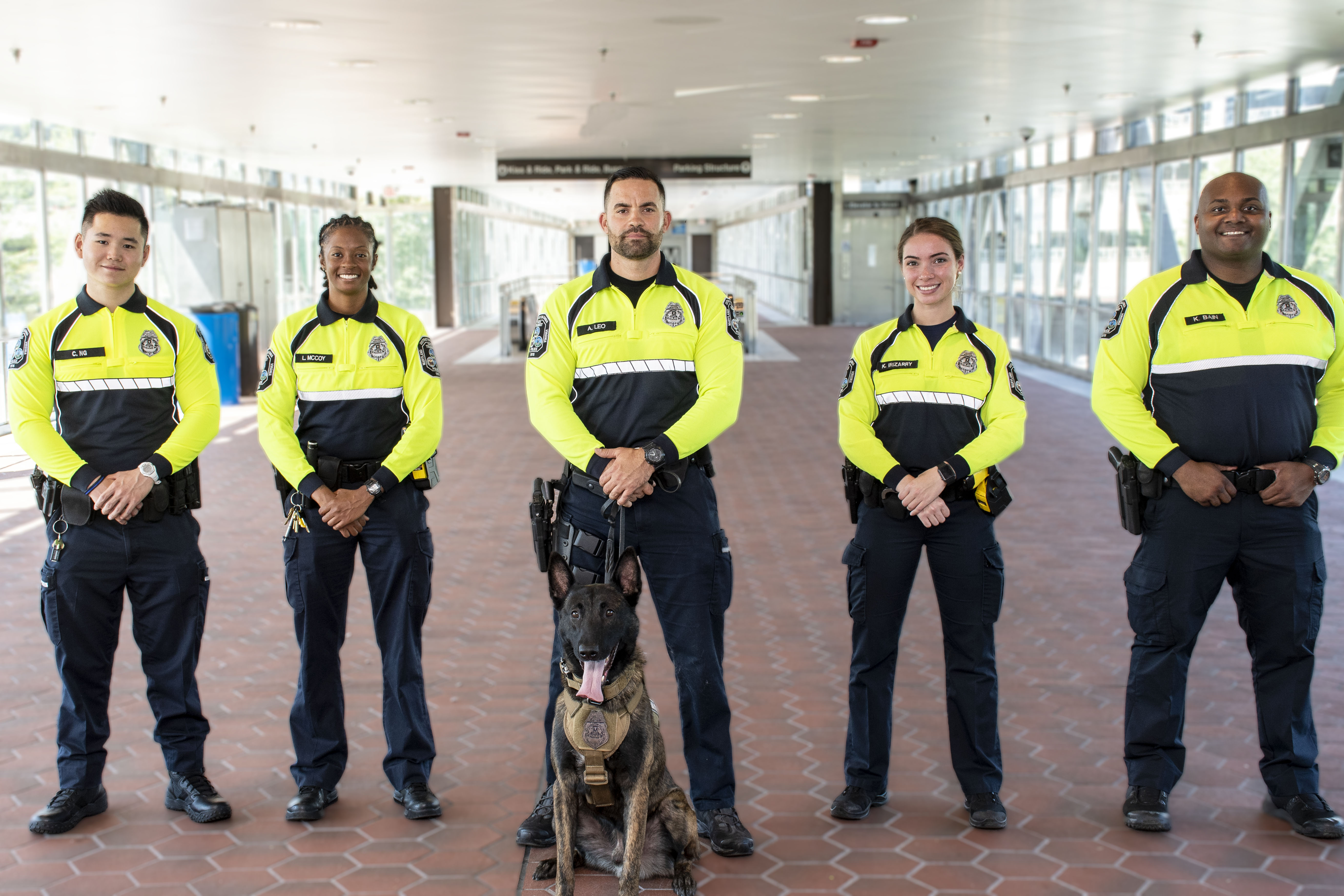 Employment and Training