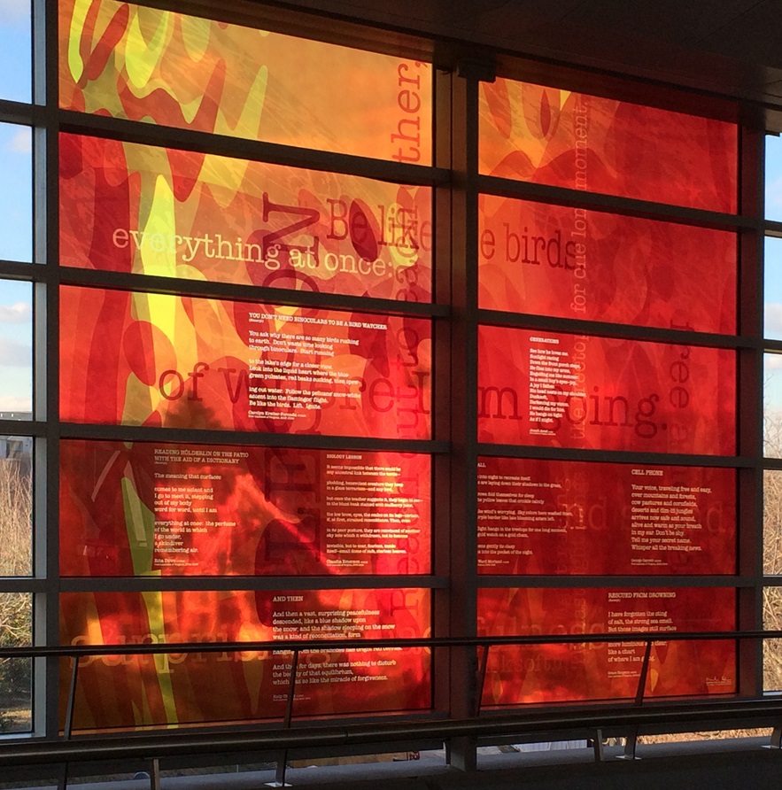 McLean Voyagers - 2015